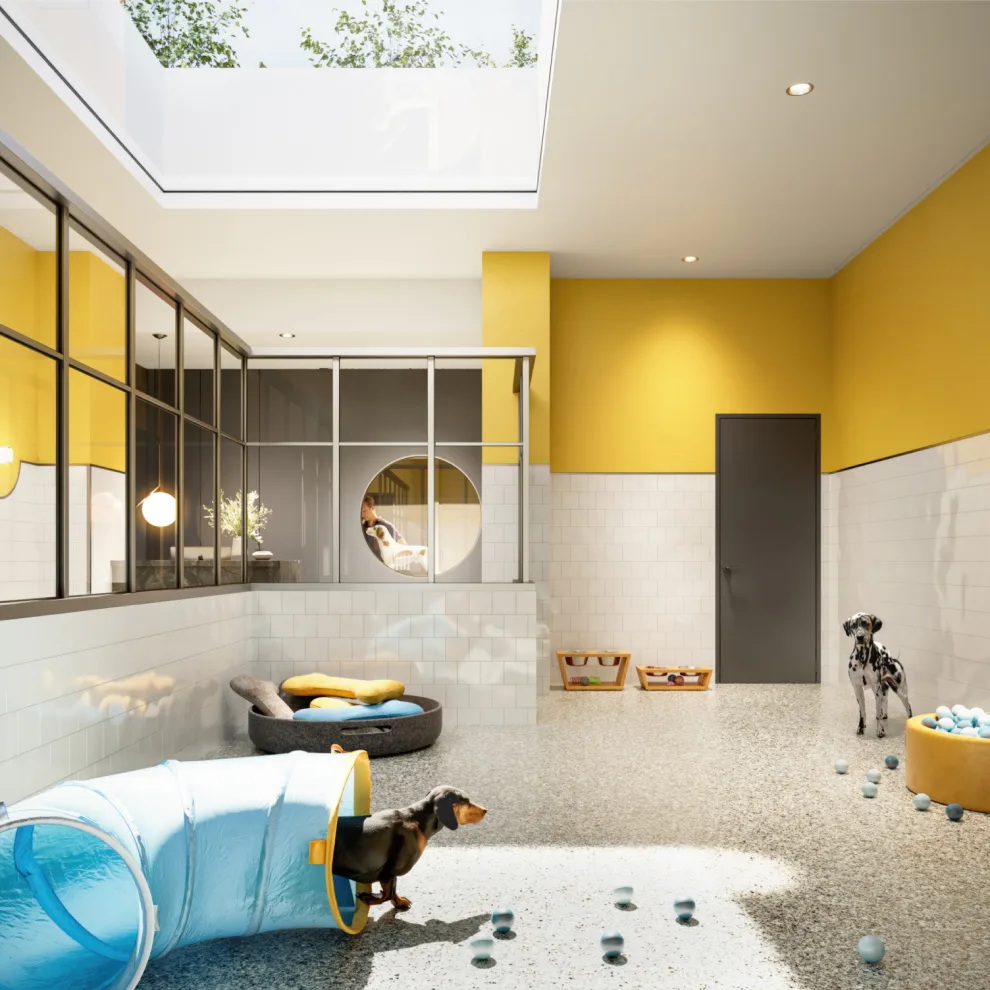 Beautiful modern dog play place with a skylight and dog toys.